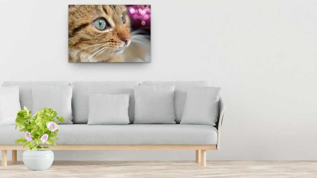 Tableau regard de chat tigré sur fond rose