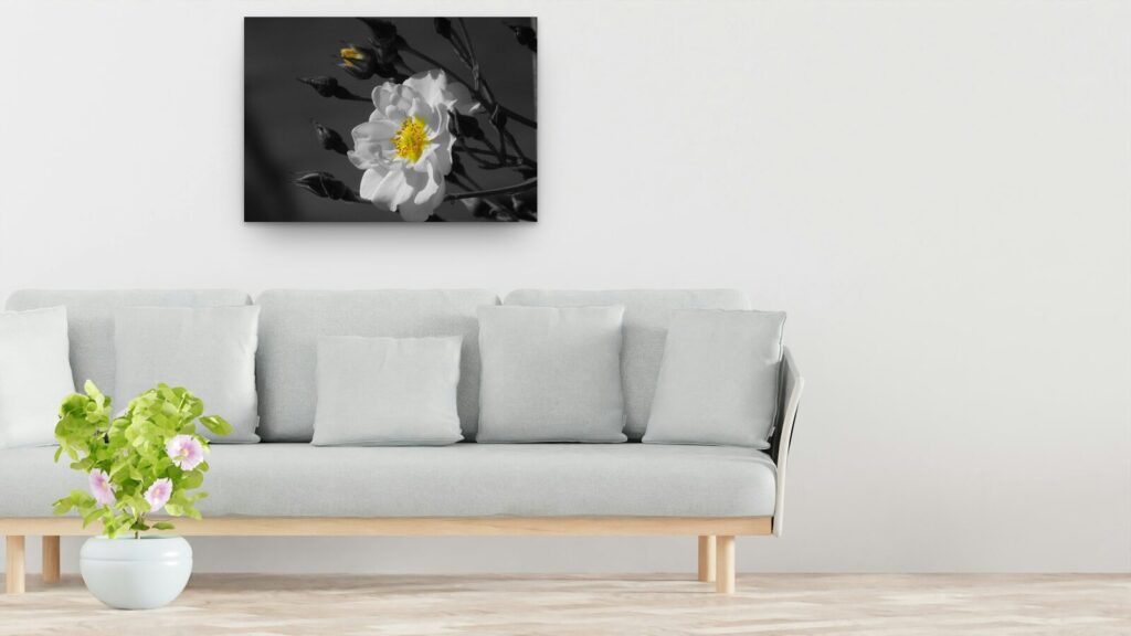 Tableau rose blanche au cœur jaune sur fond gris Tableau rose blanche au cœur jaune sur fond gris