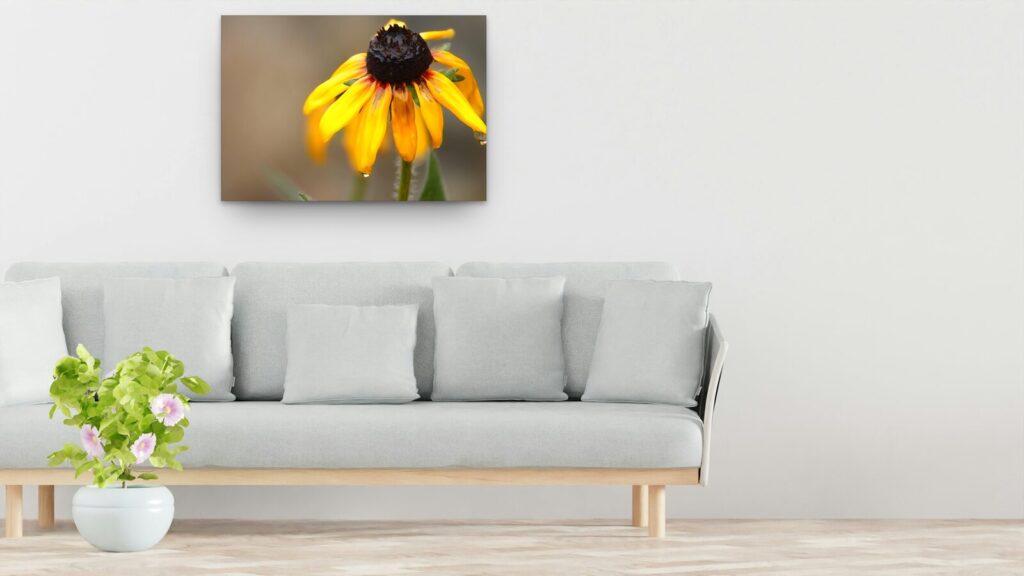 Les pétales du futur, tableau rudbeckia après la pluie Les pétales du futur, tableau rudbeckia après la pluie