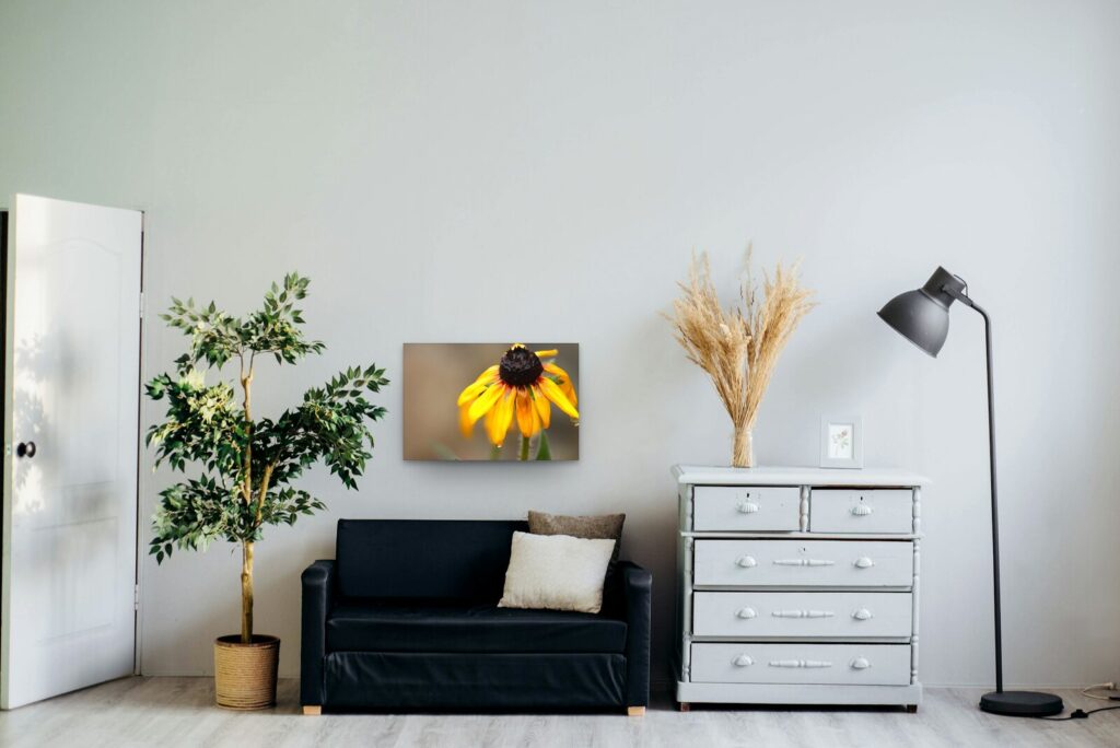 Les pétales du futur, tableau rudbeckia après la pluie Les pétales du futur, tableau rudbeckia après la pluie