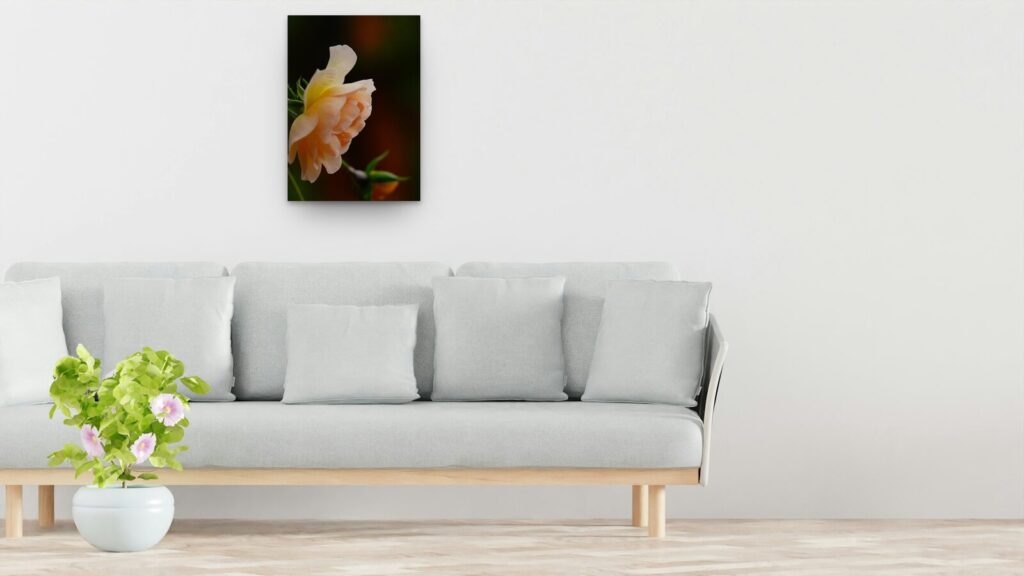 Velours du silence, tableau sur aluminium 50 × 70 cm au-dessus d’un canapé (mise en situation)