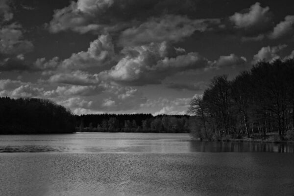 L’éternité au bord de l’eau, tableau étang en noir et blanc