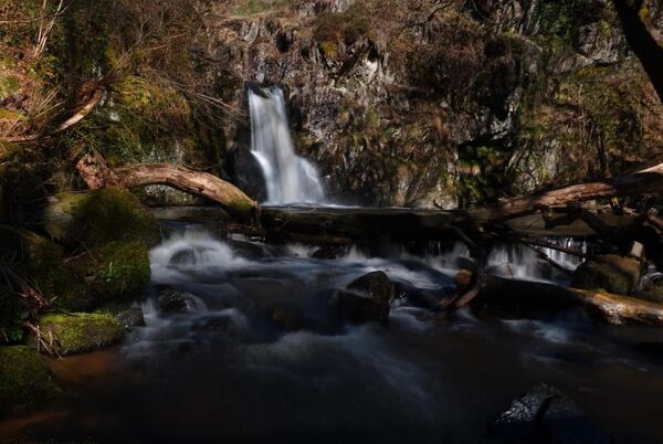 Le chant du torrent, tableau cascade en forêt