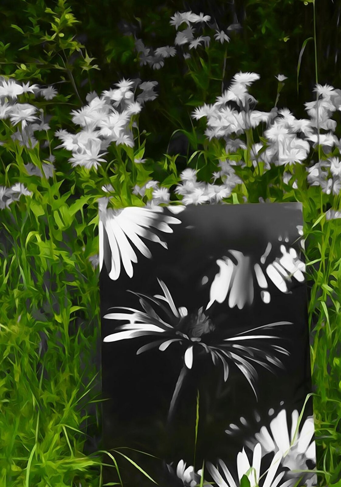 Un tableau noir au milieu des fleurs blanches, tableau sur aluminium, aperçu dans un intérieur