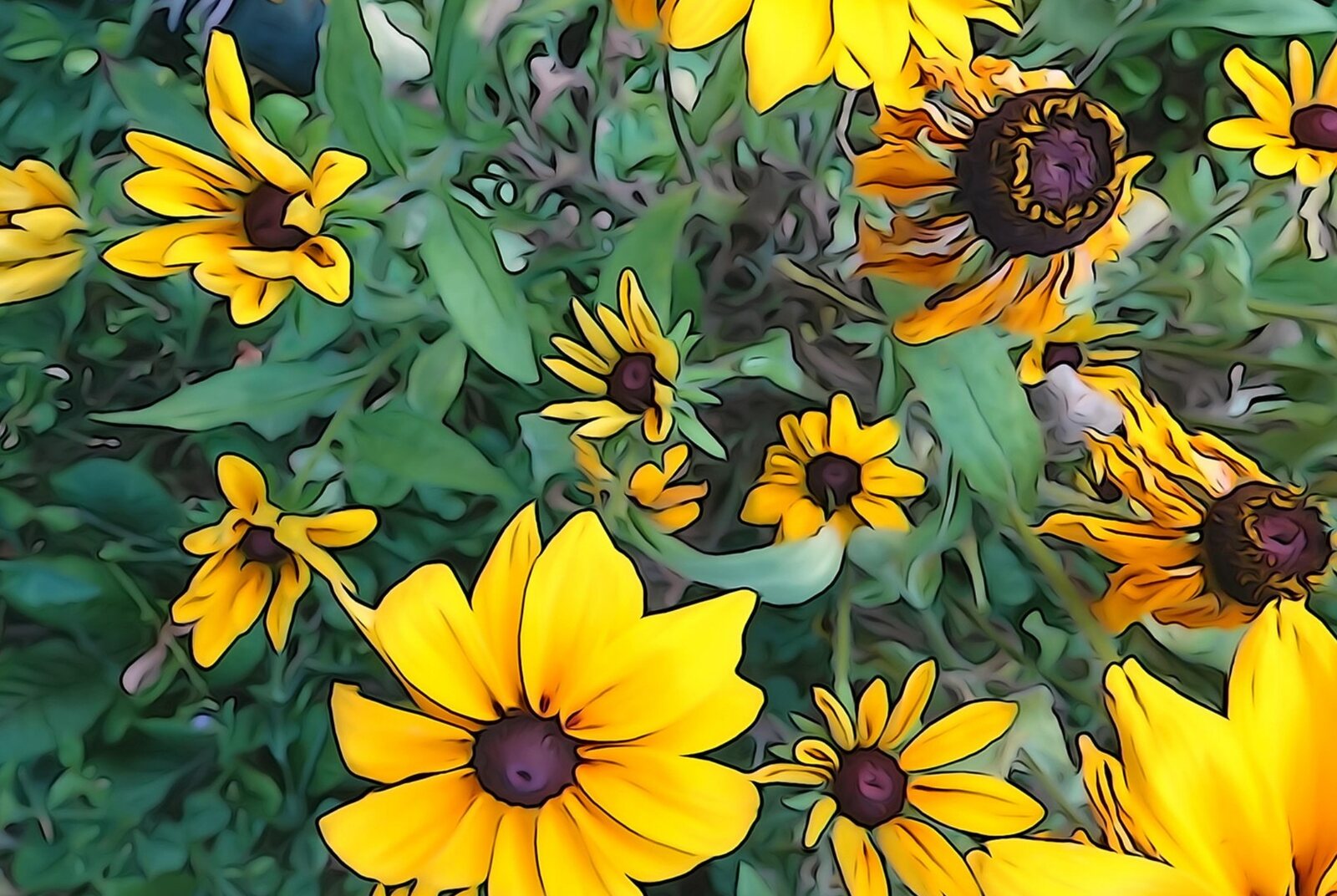 Massif de rudbeckias, tableau sur aluminium, aperçu dans un intérieur
