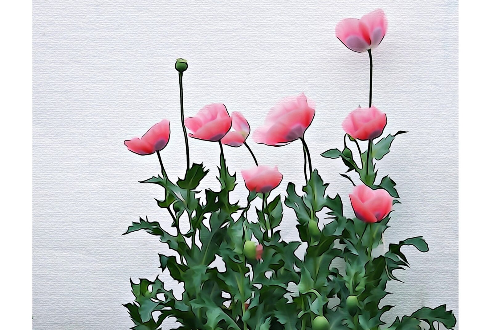 Pavots roses sur fond clair, tableau sur aluminium, aperçu dans un intérieur