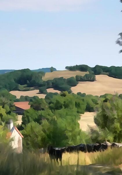 Collines et vaches dans la campagne creusoise, tableau campagne de la Creuse