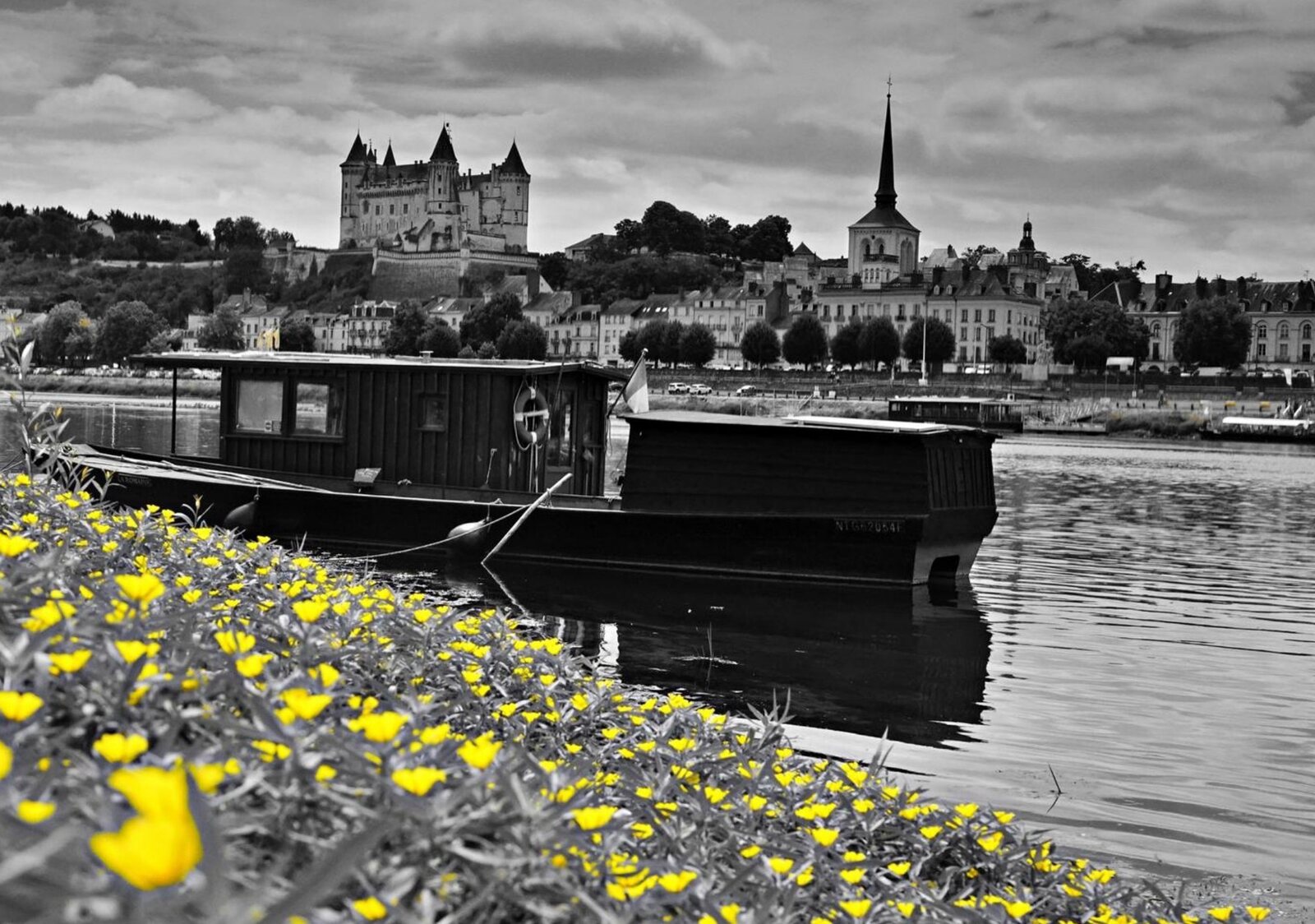 Saumur derrière les fleurs jaunes, tableau sur aluminium, aperçu dans un intérieur