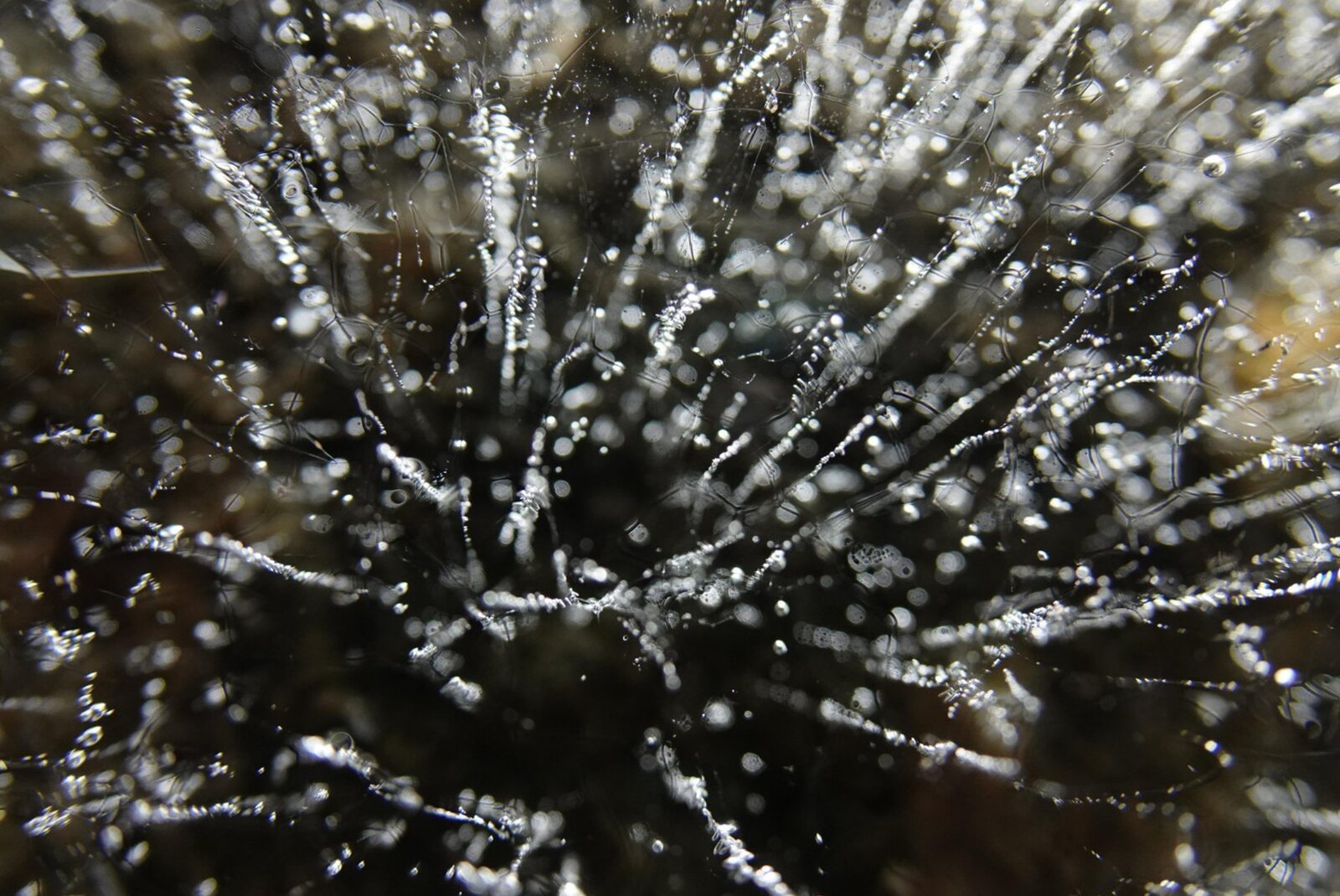 Bulles figées dans la glace, tableau sur aluminium, aperçu dans un intérieur