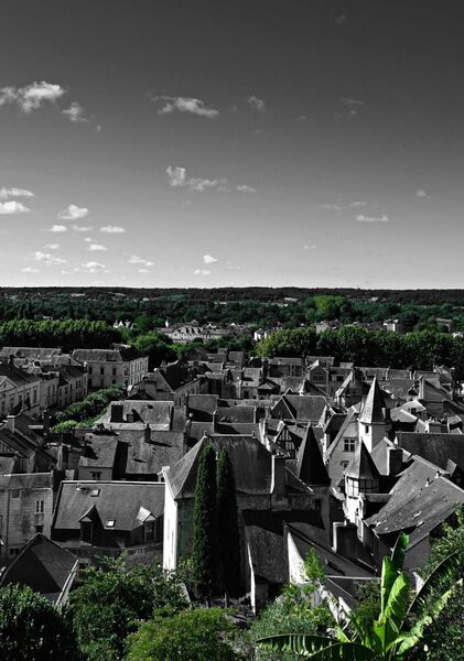 Les toits d’ardoise de Chinon, tableau toits de Chinon