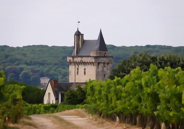 Tour de château au milieu des vignes, tableau château dans les vignes