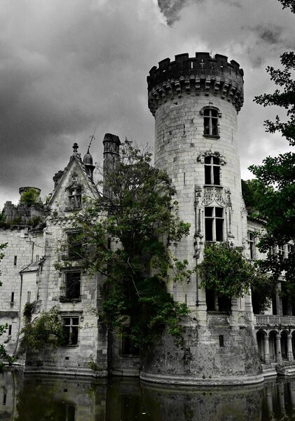 La Mothe-Chandeniers, la tour et ses arbres, tableau château de la Mothe-Chandeniers