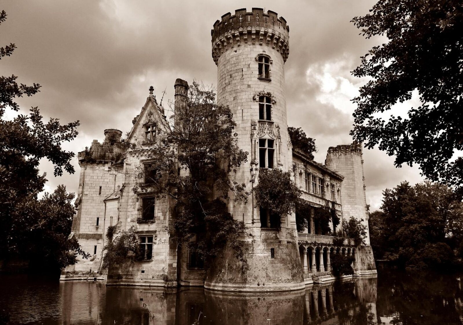 Quand l’arbre s’empare du château, tableau sur aluminium, aperçu dans un intérieur