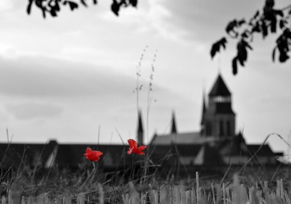 Coquelicots devant l’abbaye, tableau coquelicots et abbaye en noir et blanc