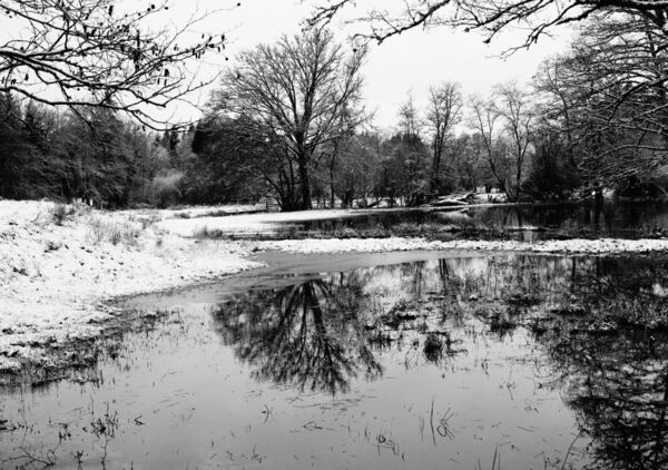 Plan d’eau enneigé, reflets d’arbres, tableau plan d’eau enneigé en hiver