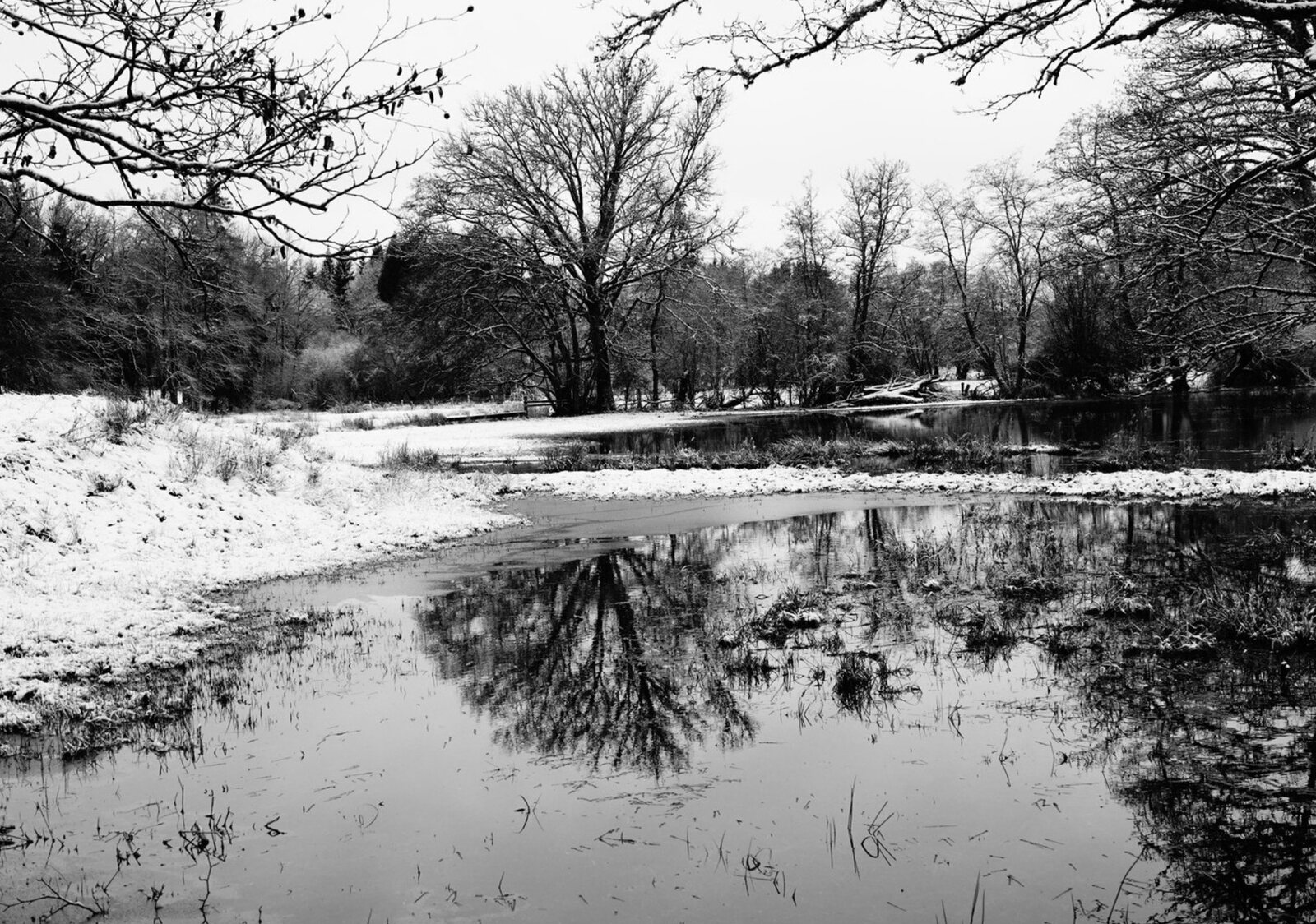 Plan d’eau enneigé, reflets d’arbres, tableau sur aluminium, aperçu dans un intérieur