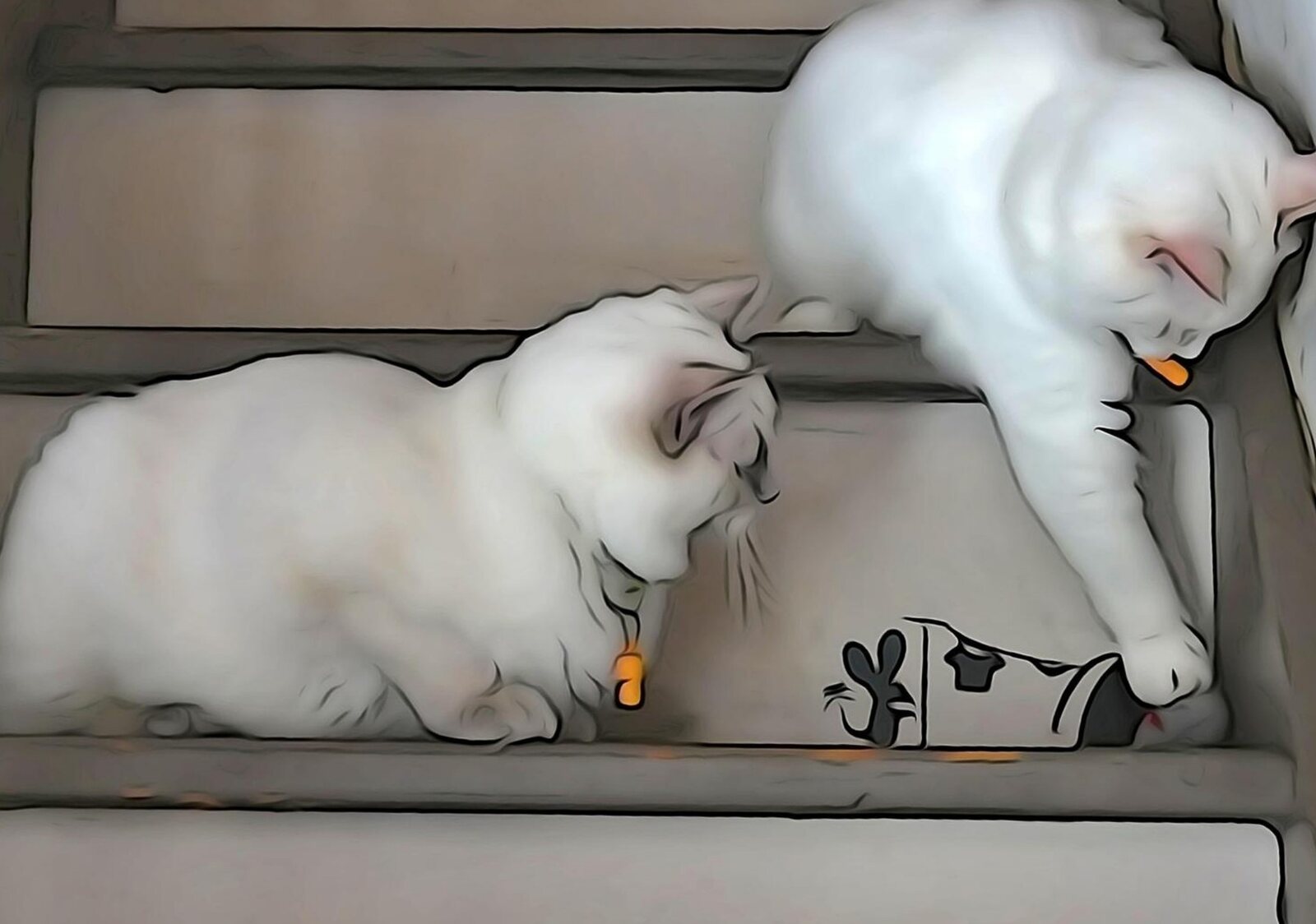 Deux chats Ragdoll et leur jouet dans l’escalier, tableau sur aluminium, aperçu dans un intérieur