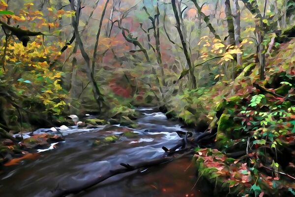 Rivière en forêt d’automne, tableau rivière en sous-bois d’automne