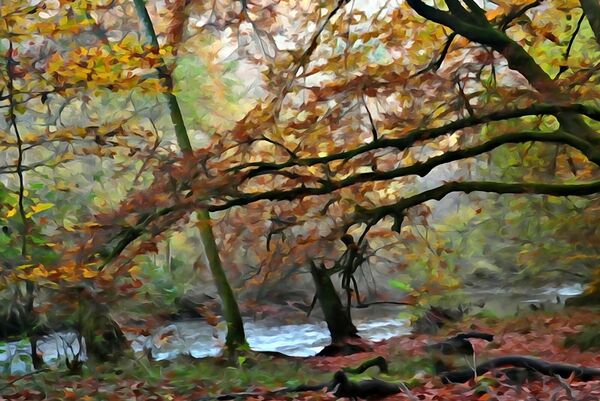 Branches d’automne au-dessus de la rivière, tableau arbres d’automne au bord de l’eau