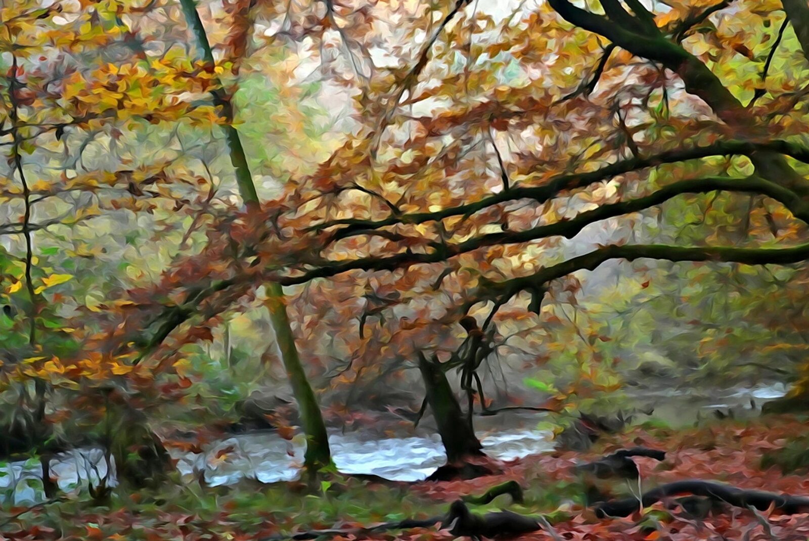 Branches d’automne au-dessus de la rivière, tableau sur aluminium, aperçu dans un intérieur