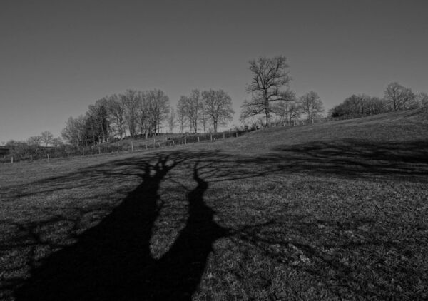 Deux ombres sur la prairie, tableau deux ombres sur une prairie