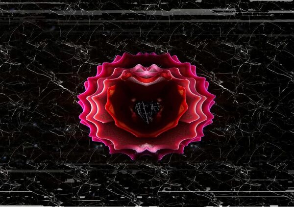 Renaissance, tableau fleur rouge sur fond noir