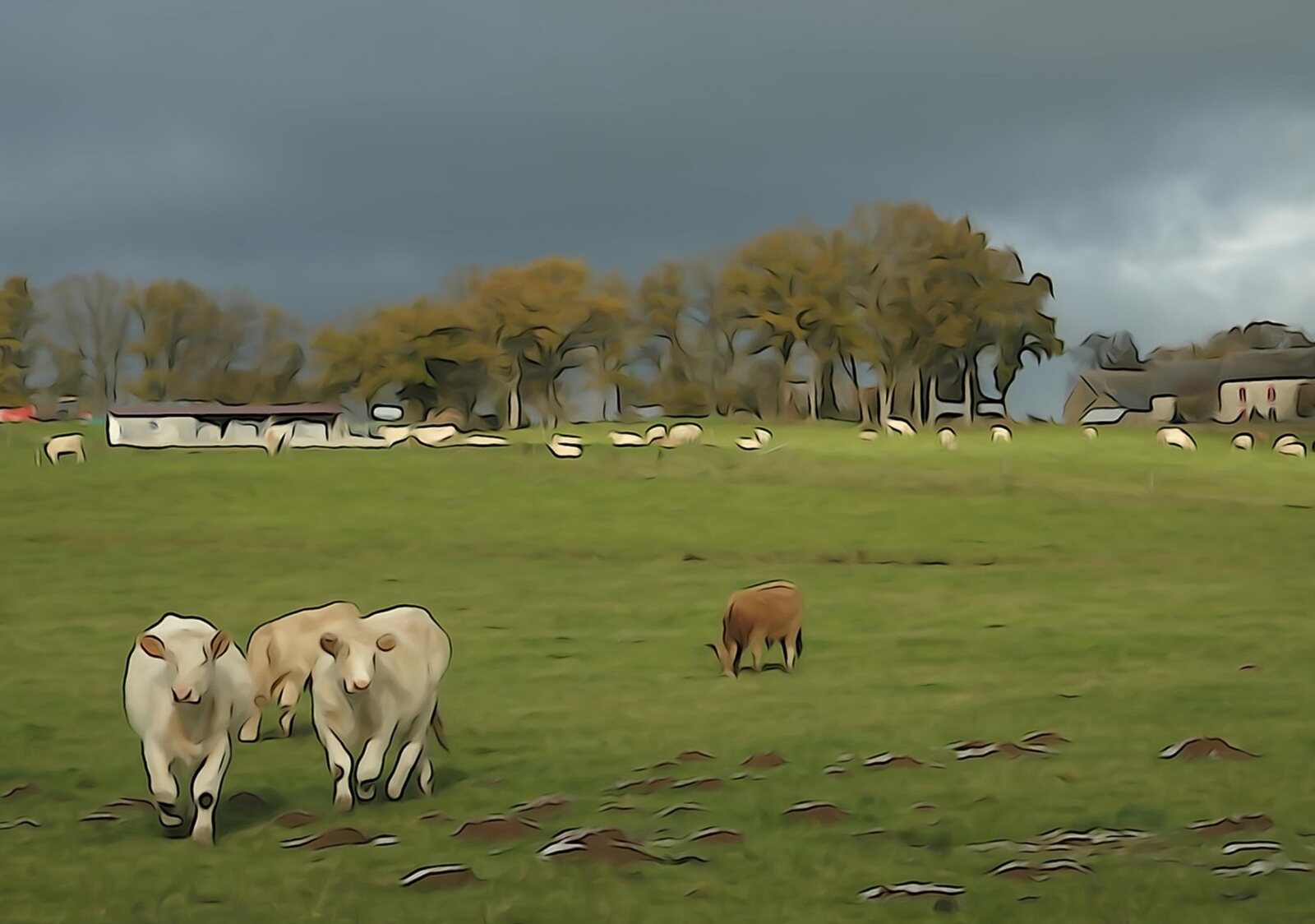 Vaches au pré sous un ciel chargé, tableau sur aluminium, aperçu dans un intérieur
