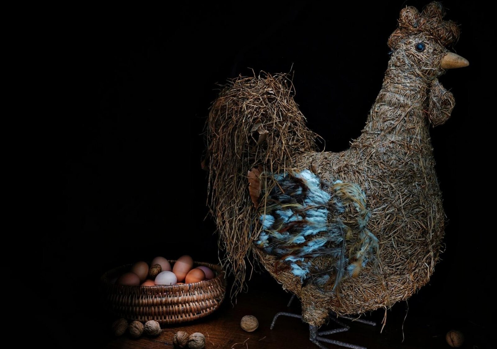 La poule ou l’œuf, tableau sur aluminium, aperçu dans un intérieur