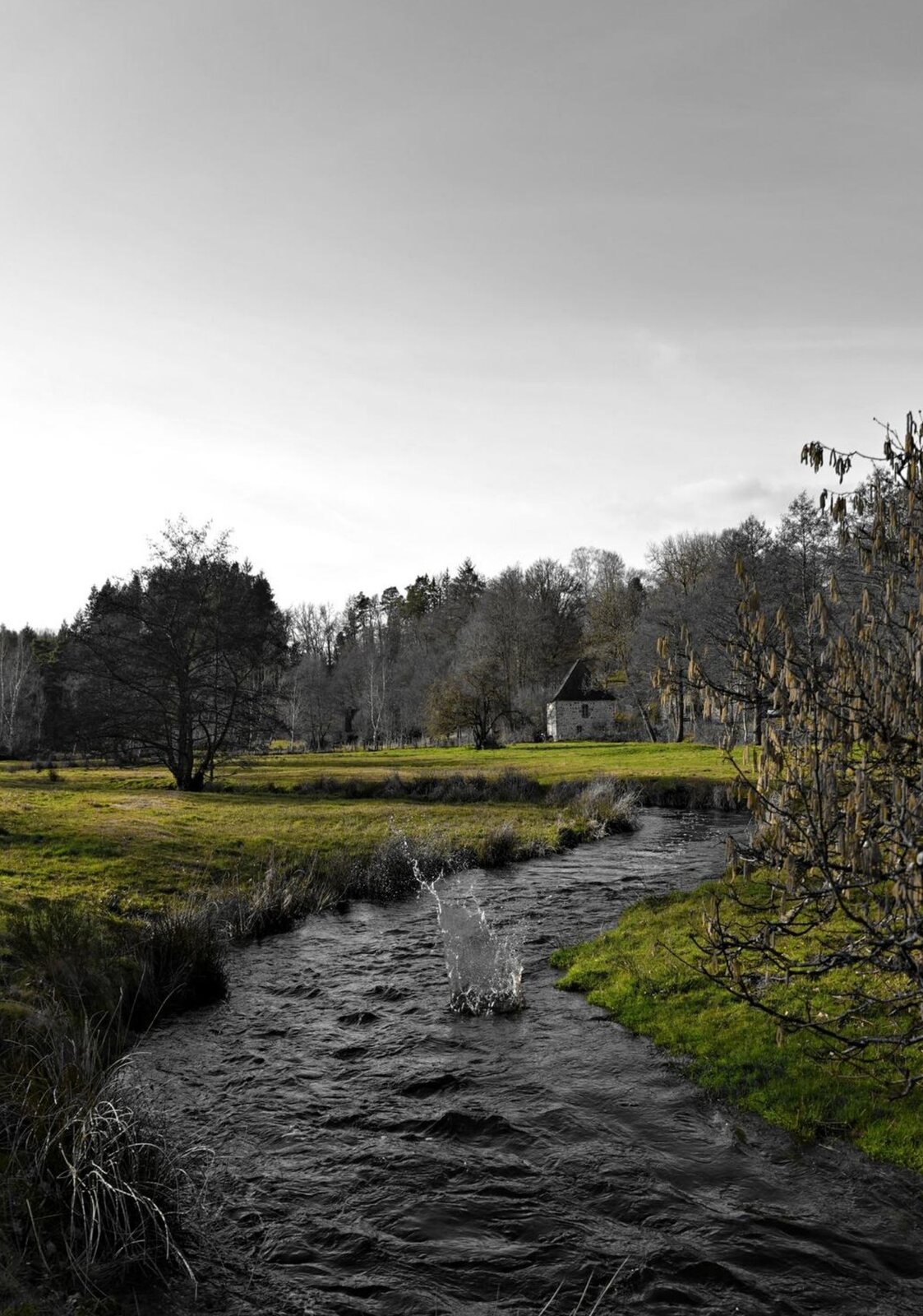 Ruisseau d’Auvergne sous un ciel gris, tableau sur aluminium, aperçu dans un intérieur
