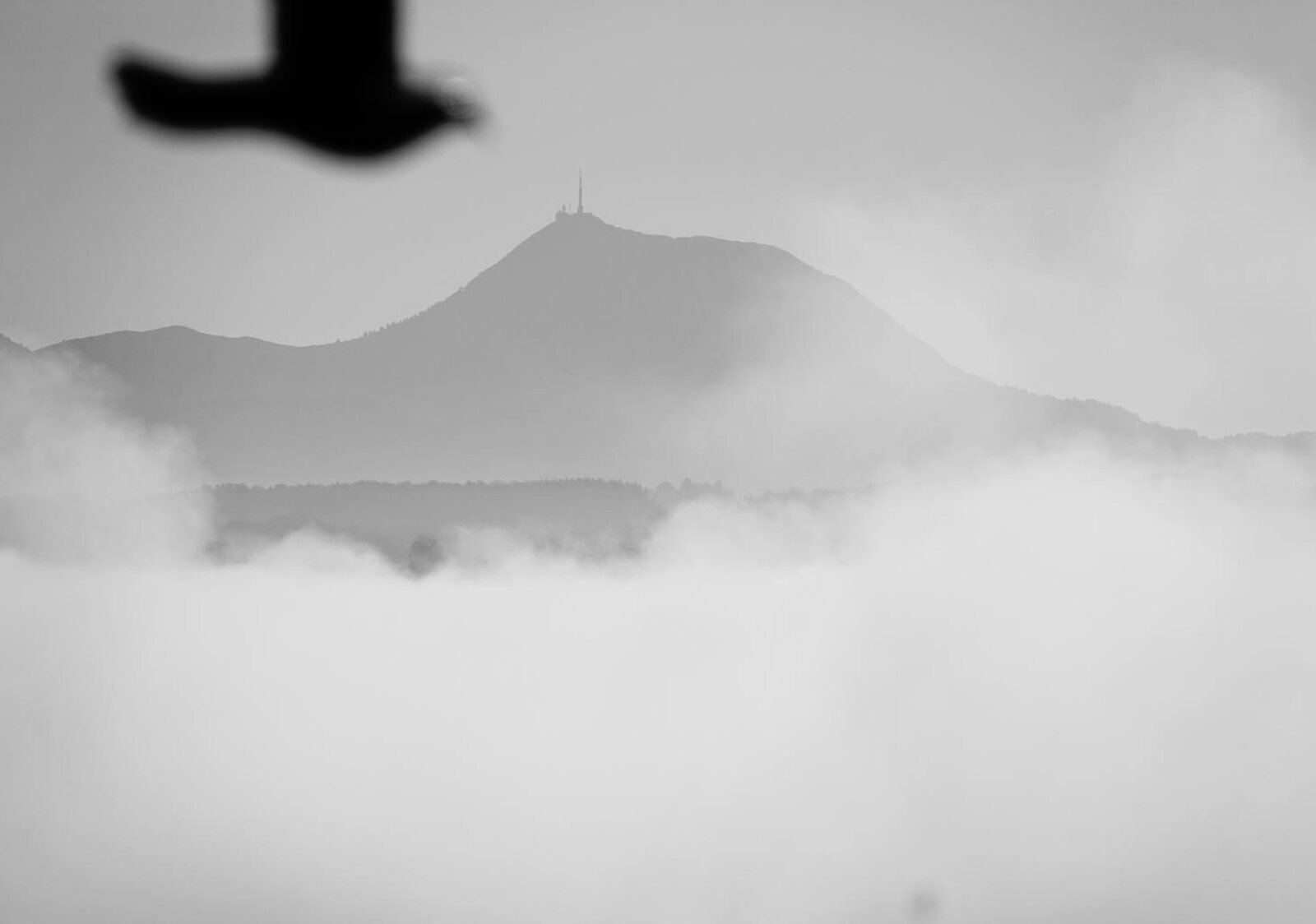 Le puy de Dôme et l’oiseau, tableau sur aluminium, aperçu dans un intérieur