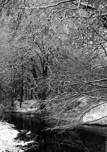 L’étreinte silencieuse de l’hiver, tableau rivière sous la neige
