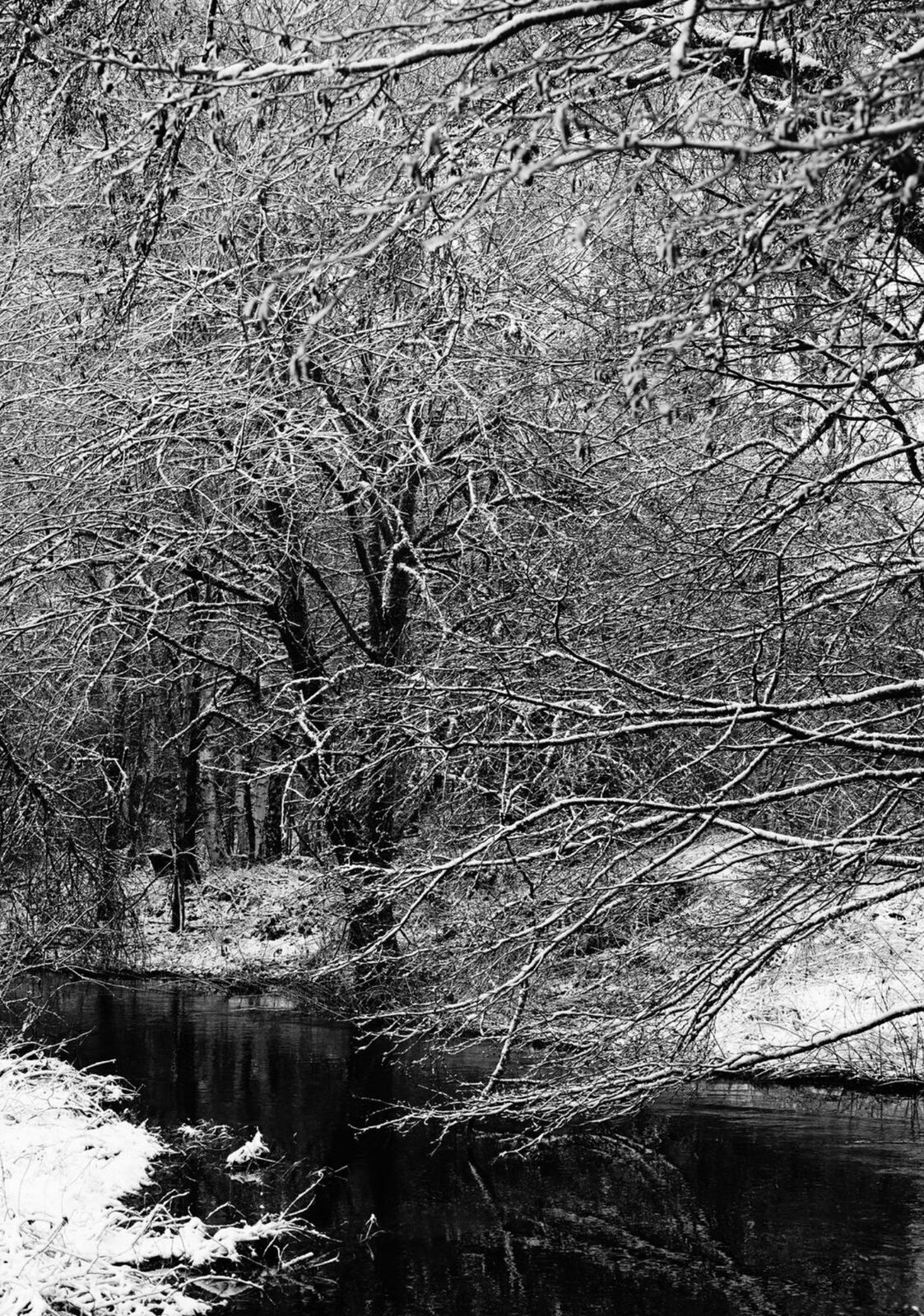L’étreinte silencieuse de l’hiver, tableau sur aluminium, aperçu dans un intérieur