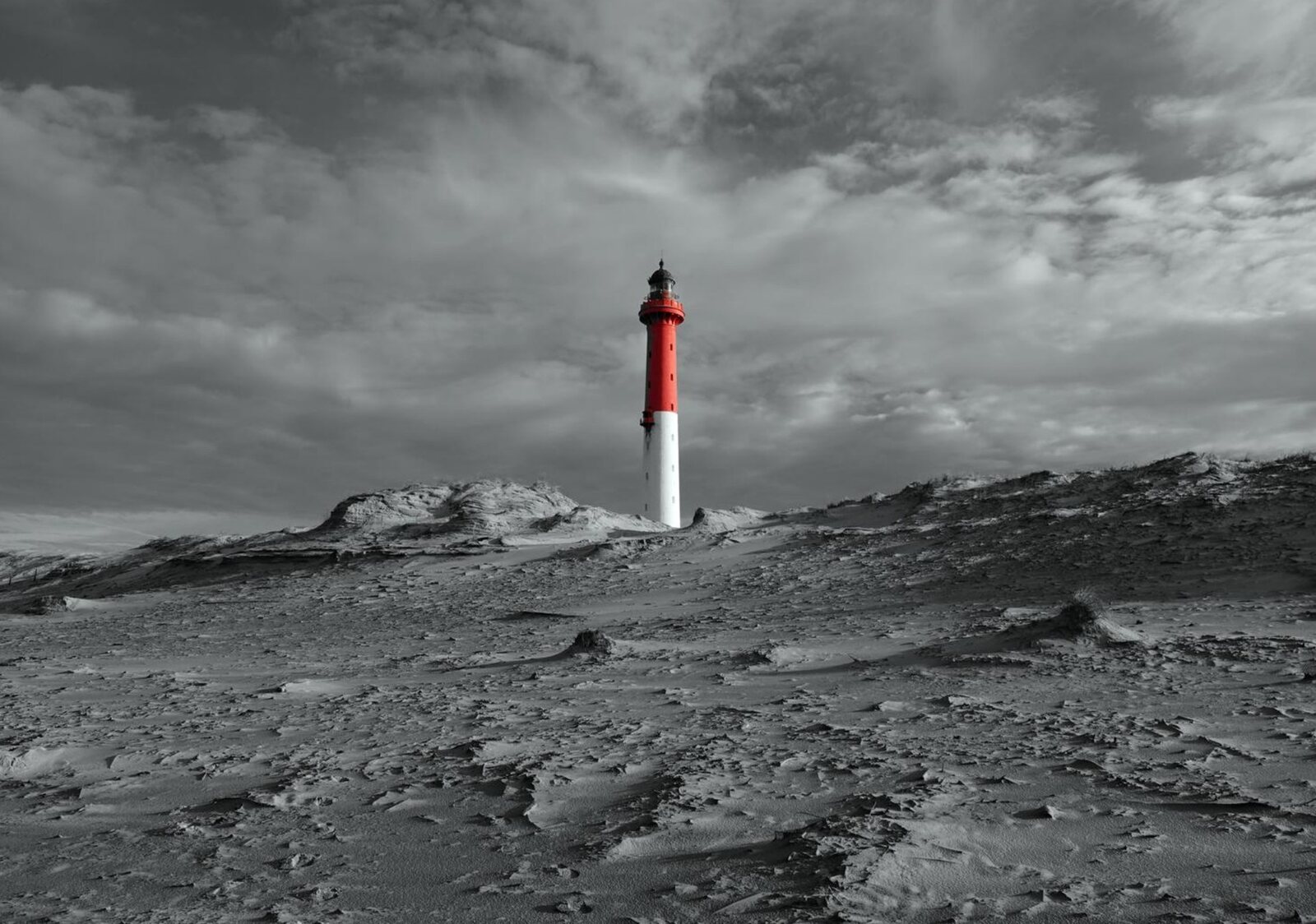 Le phare de la Coubre sur les sables, tableau sur aluminium, aperçu dans un intérieur