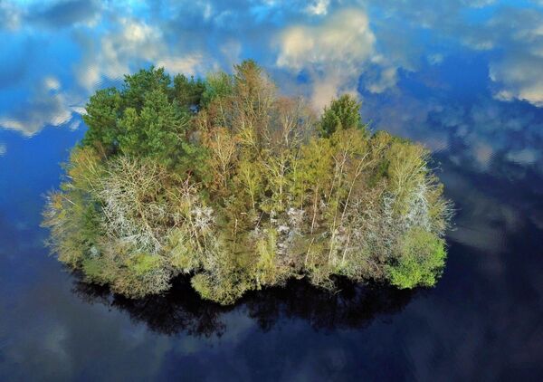 Îlot boisé au milieu du ciel reflété, tableau îlot boisé sur un étang