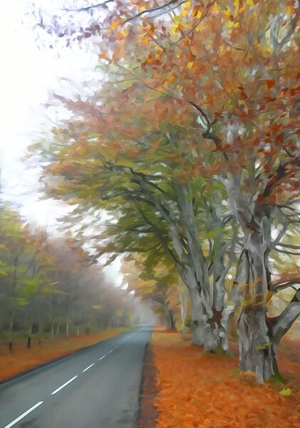 Allée d’arbres dans la brume d’automne, tableau route bordée d’arbres en automne