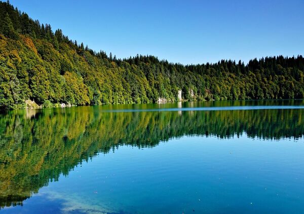 Le lac Pavin et ses rives boisées, tableau lac Pavin
