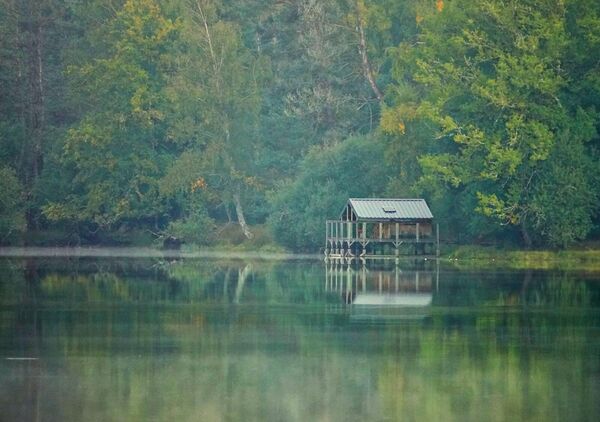 Quand le silence devient visible, tableau cabane au bord d’un lac