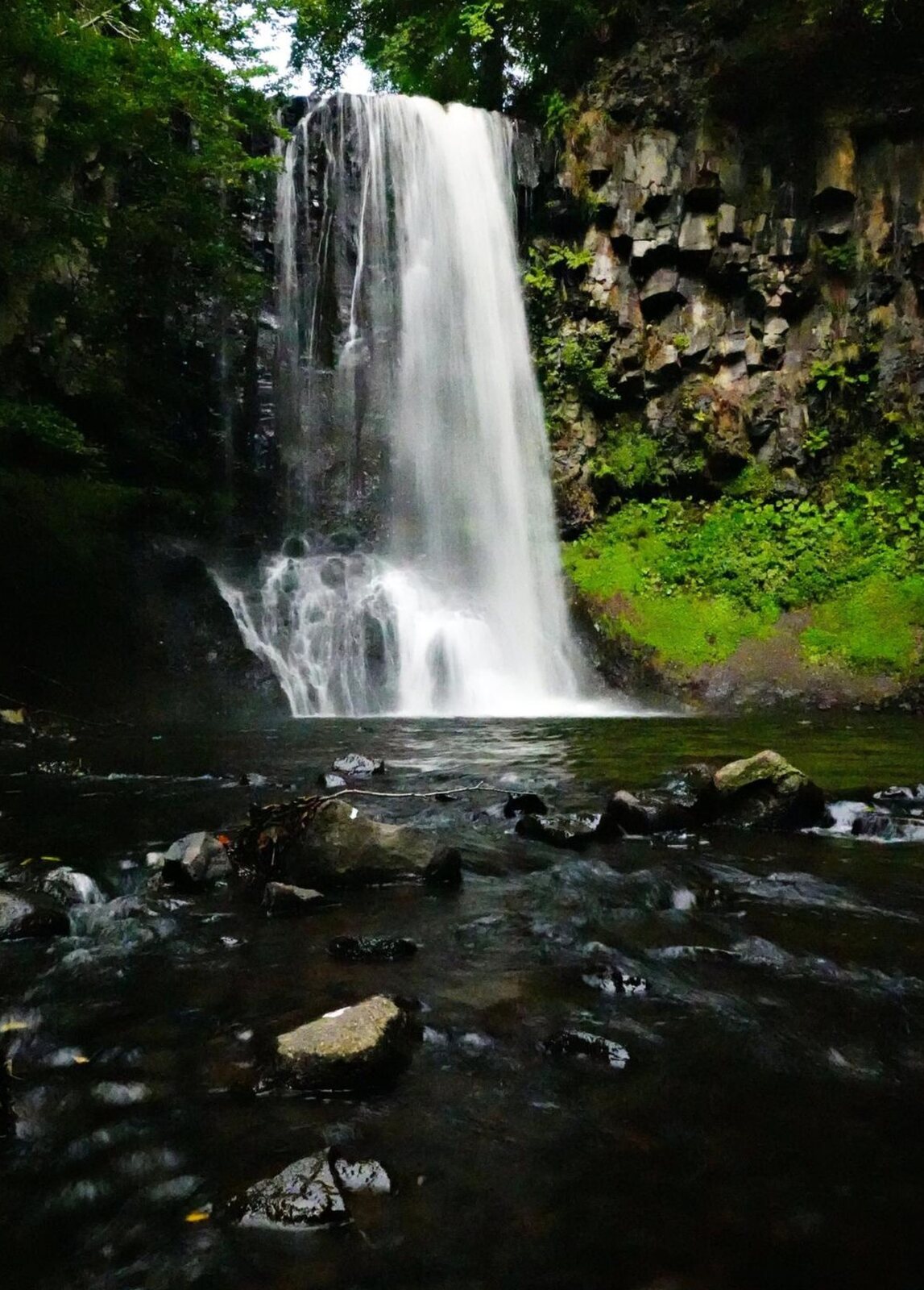Haute cascade dans un sous-bois d’Auvergne, tableau sur aluminium, aperçu dans un intérieur