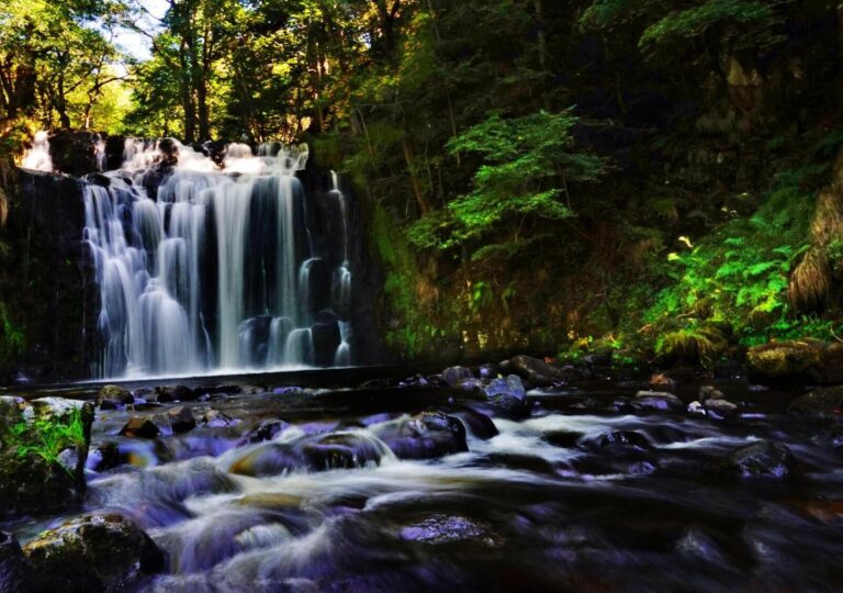 La cascade d’Entraigues en sous-bois, tableau cascade d’Entraigues, photographie de Fabrice Courtadon