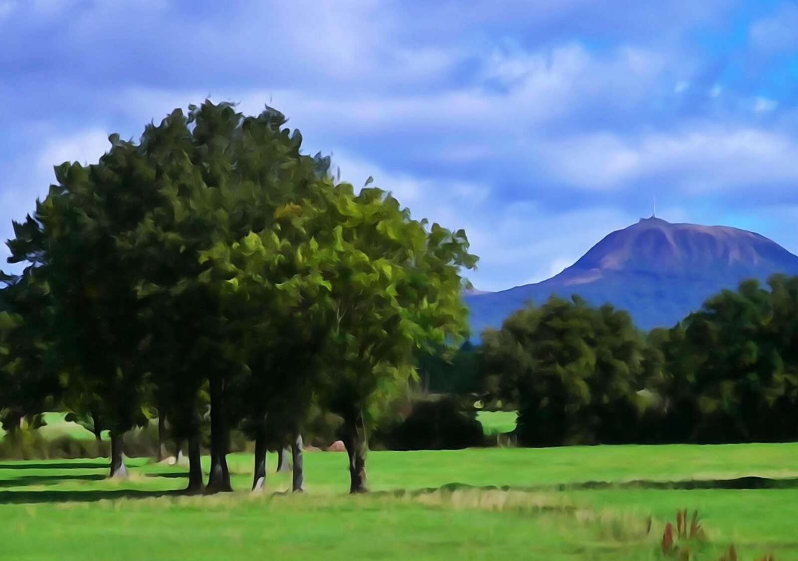 Le puy de Dôme derrière les arbres, photographie de Fabrice Courtadon