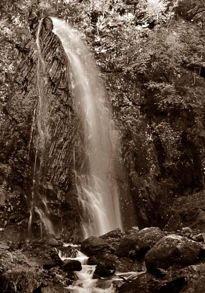 La force tranquille, tableau cascade en sépia