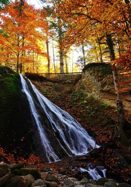 Cascade d’automne au Mont-Dore, tableau cascade en forêt d’automne