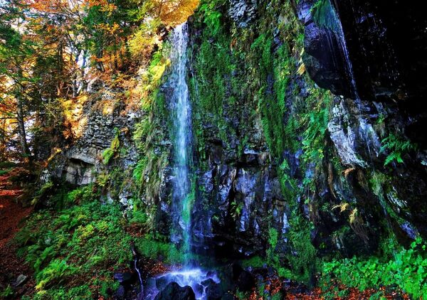 Cascade sur la roche moussue, tableau cascade sur roche moussue