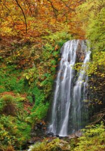 Tableau cascade d’Entraigues, eau soyeuse en sous-bois