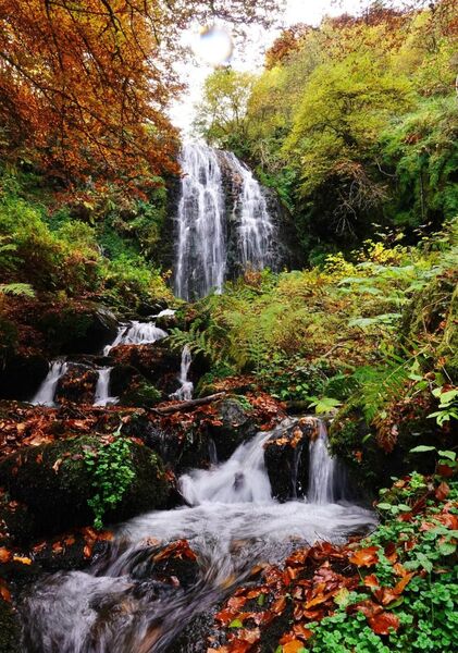 Torrent d’automne en Auvergne, tableau cascade d’automne en Auvergne