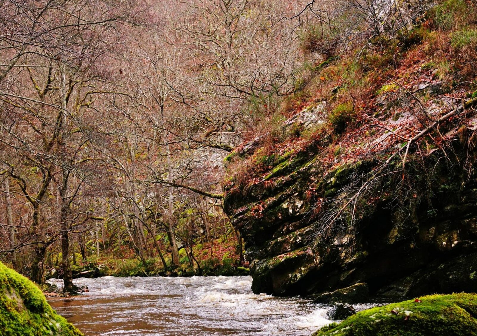 Une rivière auvergnate, tableau sur aluminium, aperçu dans un intérieur
