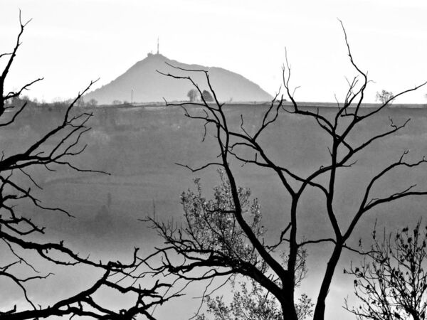Entre ombres et brume, tableau puy de Dôme derrière des branches