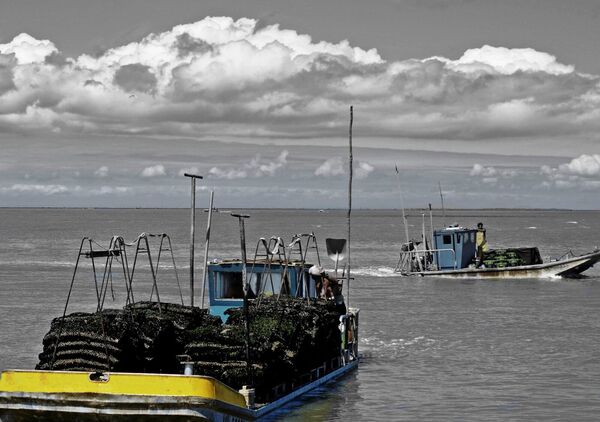 Deux bateaux ostréicoles sur l’eau grise, tableau bateaux ostréicoles chargés de poches
