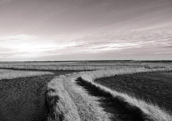 Graphisme naturel charentais, tableau marais de Brouage en noir et blanc