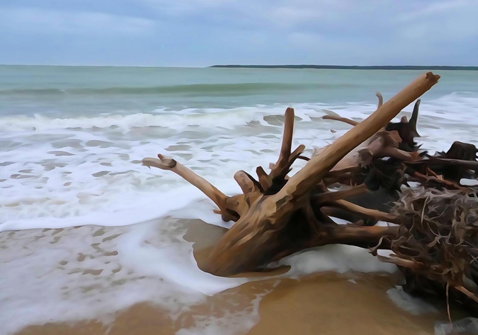 La force de l’océan détruit la forêt, tableau sur aluminium, aperçu dans un intérieur